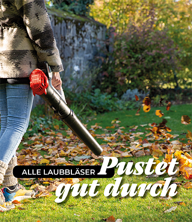 Frau bläst mit einem Laubbläser einen weg durch einen Laubhaufen